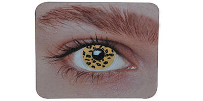 prod-lentilles-leopard